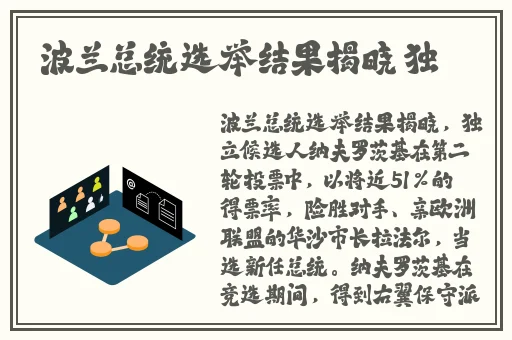 国内精品久久